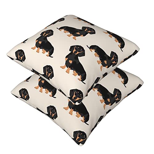 Dackel-Hunde-Kissenbezüge, 2 Stück, quadratische Kissenbezüge, superweicher Kissenschutz mit Reißverschluss für Couch, Wohnzimmer, Sofa, Bett, Büro, Auto, 40 x 40 cm von AROONS