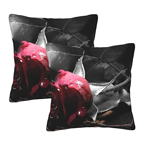 Gothic schwarze Rosen plus Kissenbezüge, 2 Stück, quadratische Kissenbezüge, superweicher Kissenschutz mit Reißverschluss für Couch, Wohnzimmer, Sofa, Bett, Büro, Auto, 40 x 40 cm von AROONS