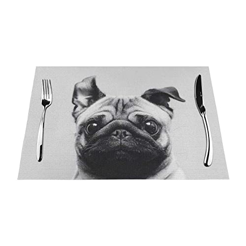 Mops PVC Tischsets Set mit 6 Stück Home Dining Gifts rutschfeste Tischsets hitzebeständig Tischsets 45 x 30 cm von AROONS