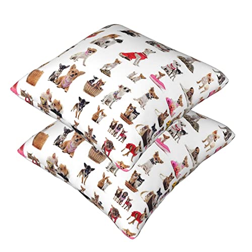 Niedliches Chihuahua-Mops-Muster, 2 Stück, quadratische Kissenbezüge, superweicher Kissenschutz mit Reißverschluss für Couch, Wohnzimmer, Sofa, Bett, Büro, Auto, 45 x 45 cm von AROONS