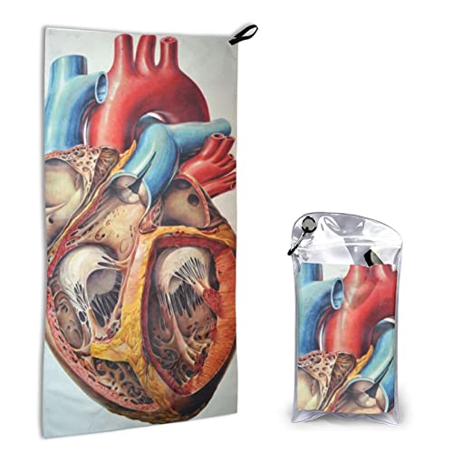 Schnell trocknendes Handtuch mit Tasche – menschliche Anatomie, Herz-Diagramm, bedruckt, super saugfähig, Mikrofaser, Reise-Sporthandtücher, 40 x 80 cm von AROONS