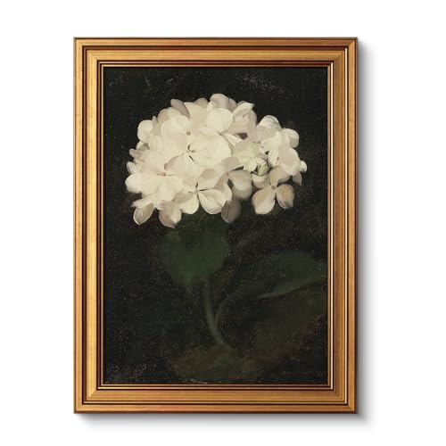 ARPEOTCY Vintage Goldener Rahmen Wandbilder Wohnzimmer, Wanddeko mit Blütenmotiven, Leinwand Bilder Wandbilder für Wohnzimmer & Schlafzimmer, Eine weiße Blume 40L x 30W cm ARPEOTCY Vintage Goldener Rahmen Wandbilder Wohnzimmer, Wanddeko mit Blütenmotiven, Leinwand Bilder Wandbilder für Wohnzimmer & Schlafzimmer, Eine weiße Blume 40L x 30W cm von ARPEOTCY