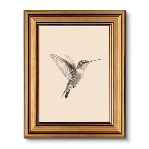 ARPEOTCY Vintage Goldener Rahmen Wandbilder Wohnzimmer, Wanddeko mit Tiermotiven, Leinwand Bilder Wandbilder für Wohnzimmer & Schlafzimmer, Kolibri 25L x 20W cm ARPEOTCY Vintage Goldener Rahmen Wandbilder Wohnzimmer, Wanddeko mit Tiermotiven, Leinwand Bilder Wandbilder für Wohnzimmer & Schlafzimmer, Kolibri 25L x 20W cm von ARPEOTCY