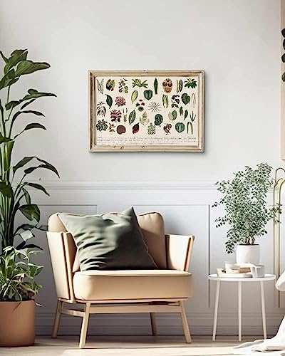 ARPEOTCY Vintage Kräuter Poster Drucke Botanische Wandkunst Dekor, 40 x 60 cm Antik Grün Pflanze Blume Bilder Wandkunst Poster, Leinwand Gemälde für Wohnzimmer Home Wohnheim Dekor von ARPEOTCY