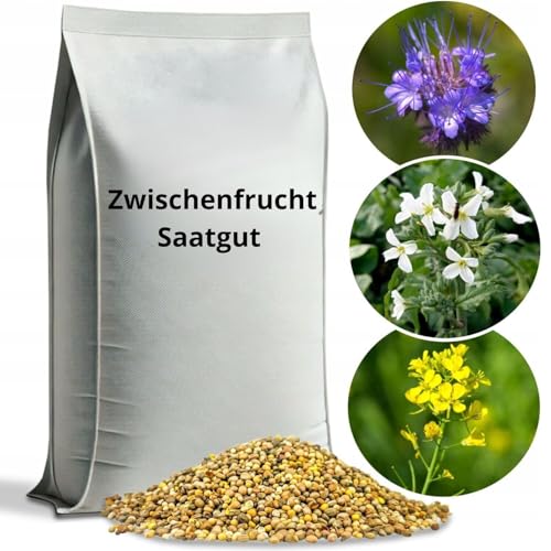 ARPON Zwischenfruchtmischung| Samen Mischung: weißer Senf, Ölrettich, Phaceliablau| Gründüngung mischung 2kg für 800m²| Gründüngungsmischung von ARPON