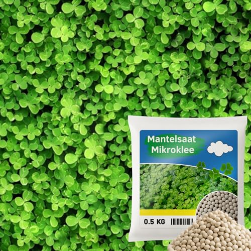 Mantelsaat Mikroklee - Weißklee 500g - Rasenklee bereichert den Rasen - Klee Samen zur Anlockung von Bienen -Saatgut für gleichmäßige, dichte Grasnarbe das ganze Jahr über von ARPON