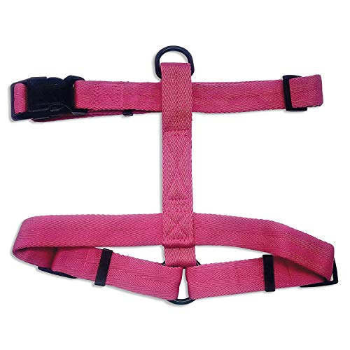 Arquivet 17656 Geschirr, 2,5 cm, Rosa Arquivet 17656 Geschirr, 2,5 cm, Rosa von Arquivet