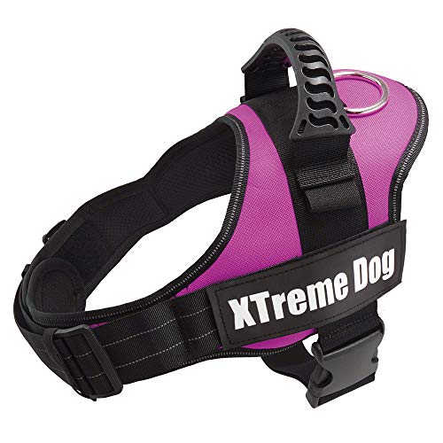 Arquivet Xtreme Hundegeschirr für Hunde, Rosa, Größe M / 61-81 cm, verstellbar, ergonomisch und robust, inkl. Griff an der Oberseite, zum Spazierengehen von Arquivet