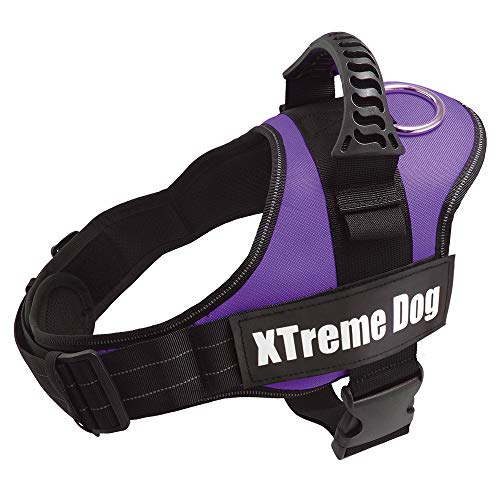 Arquivet Hundegeschirr Xtreme Dog Lila Größe: XS / 44-57 cm - Verstellbare und ergonomische Weste - Gepolstert und bequem - Zubehör für Hunde von Arquivet