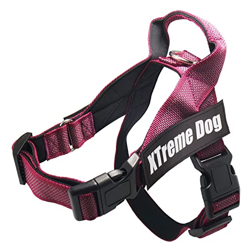 Arquivet Xtreme Dog Classic Hundegeschirr, Rosa, Größe S/49-67 cm, verstellbar, ergonomisch und robust, inkl. Griff an der Oberseite zum Spazierengehen von Arquivet