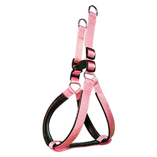 Arquivet 8435117896291 - Band Nylon Smooth Pink 2 X 4555 cm Arquivet 8435117896291 - Band Nylon Smooth Pink 2 X 4555 cm von Arquivet