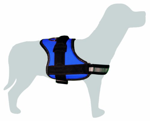 Arquivet 8435117896963 – Gepolsterte Harness Blau und Schwarz, Größe S von Arquivet