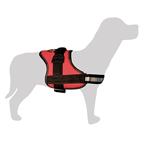 Arquivet 8435117897014 – Gepolsterte Harness, Rot und Schwarz, Größe XL von Arquivet