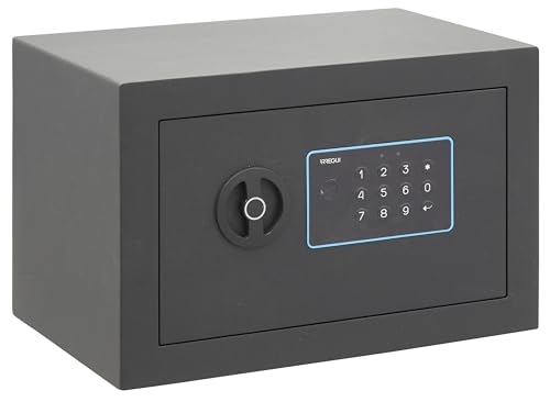 ARREGUI Blue 650110 Möbeltresor | Möbelsafe aus Stahl mit Elektronikschloss | 20 x 31 x 20 cm | 10 L | Haussafe mit programmierbarem elektronischem Zahlenschloss, Tresor | Safe mit Notschlüssel | Grau ARREGUI Blue 650110 Möbeltresor | Möbelsafe aus Stahl mit Elektronikschloss | 20 x 31 x 20 cm | 10 L | Haussafe mit programmierbarem elektronischem Zahlenschloss, Tresor | Safe mit Notschlüssel | Grau von ARREGUI