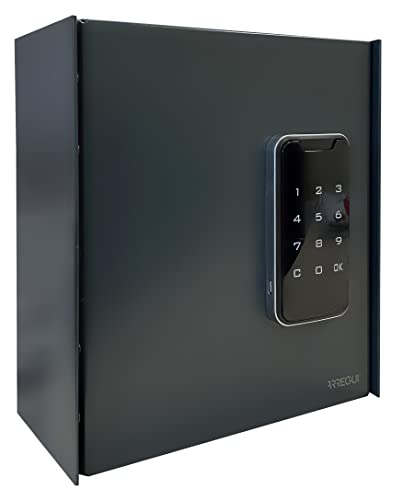 ARREGUI KEYPRO PLPRO14 Schlüsselschrank mit Elektronikschloss und 14 Haken für Schlüssel | Schlüsseltresor mit Zahlencode | Einfache Montage | Schlüsselkasten mit Zahlenschloss |22x20x10 cm| anthrazit von ARREGUI