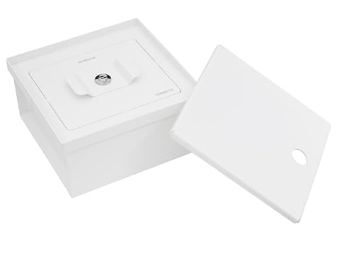 ARREGUI Terra Versteckter Tresor für Zuhause | Bodentresor | Geheimfach für Geld | Unauffälliges Geldversteck | Boden Geldbox | Geheimversteck | Kleiner Versteckter Safe | 10x20x20cm| 2,3L | weiß von ARREGUI