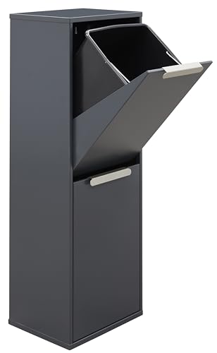 ARREGUI Ecoclas CR204-E Mülltrennsystem aus Stahl | 2 Fächer Mülleimer für die Küche |2x17L (34L) | 2 Fach Abfalleimer | Herausnehmbare Inneneimer + Griff | Recycling Schrank | Mülltrennung |anthrazit von ARREGUI