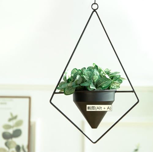 ARSBORUI Hängende Blumenampel Metall Hängend Blumentopf Modern Dekoration Hängetopf Hängeampel Schwarz Geometrie Form Hängend Pflanzgefäße Hängeblumentopf Für Innen Außen Decken Balkone (A) von ARSBORUI