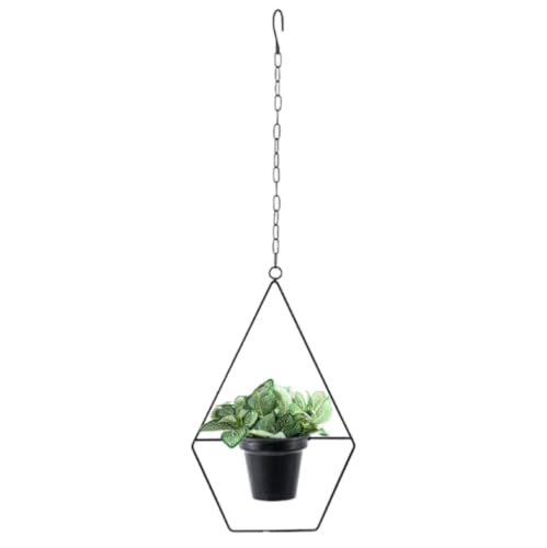 ARSBORUI Hängende Blumenampel Metall Hängend Blumentopf Modern Dekoration Hängetopf Hängeampel Schwarz Geometrie Form Hängend Pflanzgefäße Hängeblumentopf Für Innen Außen Decken Balkone (B) von ARSBORUI