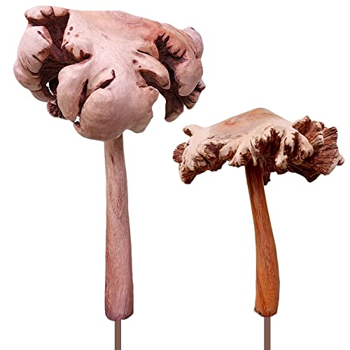 ART-CRAFT 2 Parasol alt Gartenstecker Deko Pilze aus Holz von Hand geschnitzt 15 cm und 22 cm hoch von ART-CRAFT