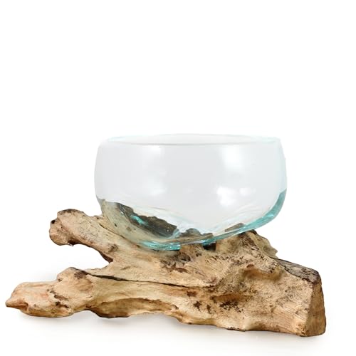 Mundgeblasene Glas Schale auf Treibholz Wurzel | Edle Dekoschale als Tischdeko | Unikat Glaskunst Schälchen Mundgeblasene Glas Schale auf Treibholz Wurzel | Edle Dekoschale als Tischdeko | Unikat Glaskunst Schälchen von ART-CRAFT