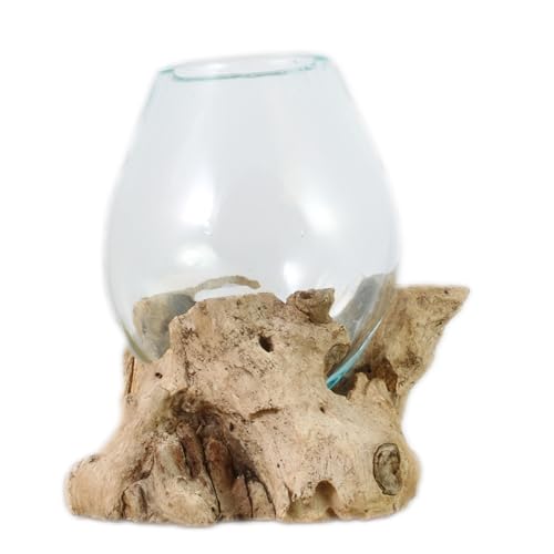 ART-CRAFT Handgefertigte Wurzel-Unikate im Glas - Naturkunst zum Sammeln & Dekorieren ART-CRAFT Handgefertigte Wurzel-Unikate im Glas - Naturkunst zum Sammeln & Dekorieren von ART-CRAFT