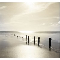 Fototapete Vliestapete Calming Beach View 300x280cm - Brown/grey von ART FOR THE HOME