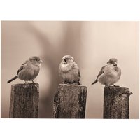 Outdoor Leinwandbilder Vogel 50x70cm - Art For The Home von ART FOR THE HOME