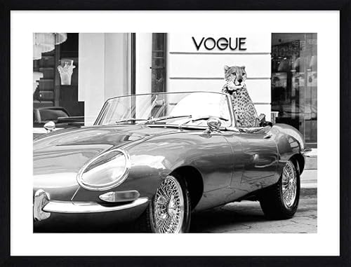 ART PRINT CAFE' – Foto-Kunstbild – Julian Lauren, En Vogue: Leoparden. Gerahmte Kunstdrucke, Rahmenfarbe: Schwarz von ART PRINT CAFE'