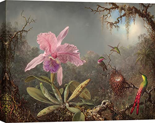 Art Print Cafe - Botanischer Kunstdruck auf Leinwand - Martin Johnson Heade, Orchidee Cattleya und drei Kolibri - 70 x 50 cm von ART PRINT CAFE'