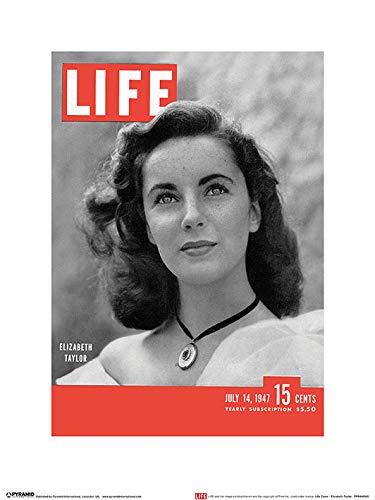 Time Life Kunstdrucke, Papier, Mehrfarbig, 30 x 40 cm von ART