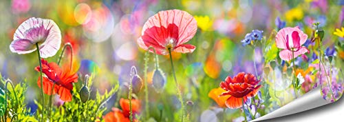 ARTBAY Blumen Poster HD XXL - Panorama Kunstdruck - 118,8 x 42 cm | Blühender Mohn | Blumenwiese im Sonnenlicht | Natur Poster | Premium Qualität von ARTBAY