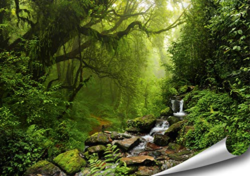 ARTBAY Wald Poster XXL - 118,8 x 84 cm | Wasserfall im Regenwald | Urwald | Nepal | Natur Poster | Premium Qualität von ARTBAY
