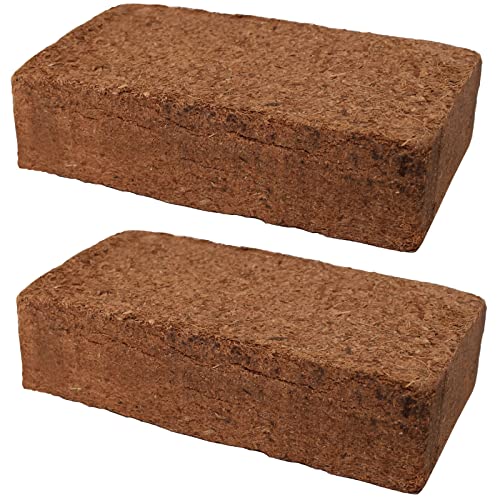 ARTECSIS 2er Set Kokoserde 650g Ziegel gepresst Kokos-Block Blumenerde Pflanzengrund Kokoshumus 8l ARTECSIS 2er Set Kokoserde 650g Ziegel gepresst Kokos-Block Blumenerde Pflanzengrund Kokoshumus 8l von ARTECSIS