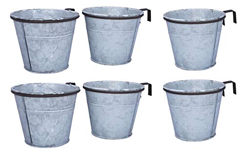 ARTECSIS 6er Set Pflanztopf mit Ringhalter, verzinkter Hängetopf, Blumentopf für Balkon Garten Geländer Palette 12cm Ø ARTECSIS 6er Set Pflanztopf mit Ringhalter, verzinkter Hängetopf, Blumentopf für Balkon Garten Geländer Palette 12cm Ø von ARTECSIS