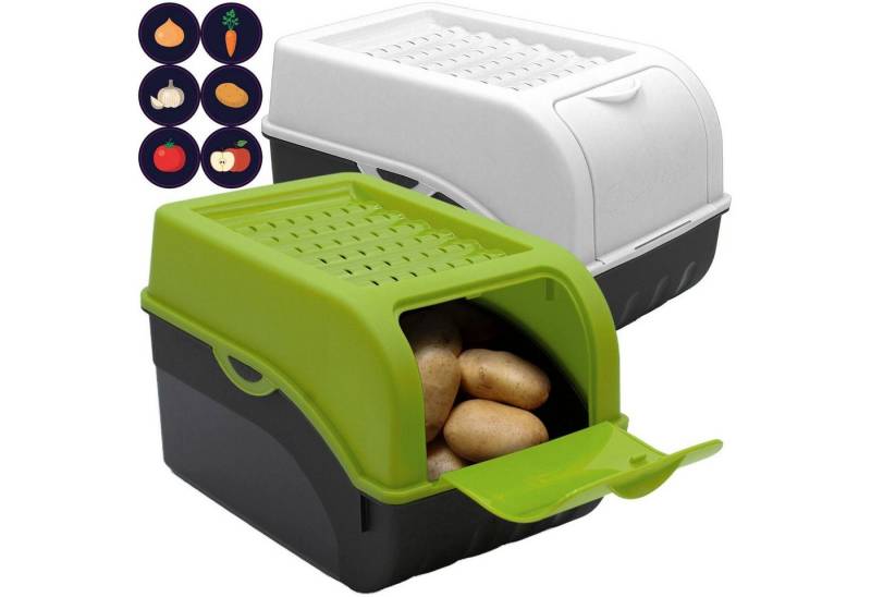 ARTECSIS Aufbewahrungsbox von ARTECSIS