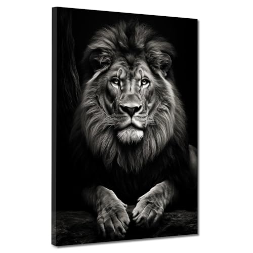 Löwe wunderschön frontal Black Leinwandbild Wandbild Kunstdruck XL Wanddeko Größe 30x40x2cm Löwe wunderschön frontal Black Leinwandbild Wandbild Kunstdruck XL Wanddeko Größe 30x40x2cm von ARTEDinoi