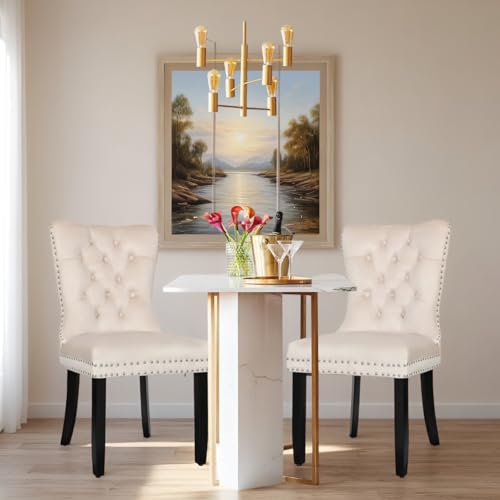 ARTETHYS Samt Esszimmerstühle 2er Set, Gepolstert Küchenstühle mit Eichenbeinen, Polsterstühle mit Armlehnen Rückenlehne für Esszimmer Wohnzimmer Küche, Tragkraft 150 kg, Beige von ARTETHYS