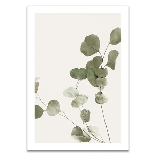 ARTFAVES® Poster - Eukalyptuszweig | Wanddeko Wandbild Fotografie Modern | ohne Rahmen | 30 x 40 cm von ARTFAVES