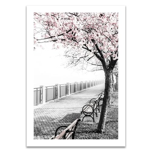 ARTFAVES® Poster - Magnolienbaum im Park | Wanddeko Wandbild Fotografie Modern | ohne Rahmen | 30 x 40 cm von ARTFAVES