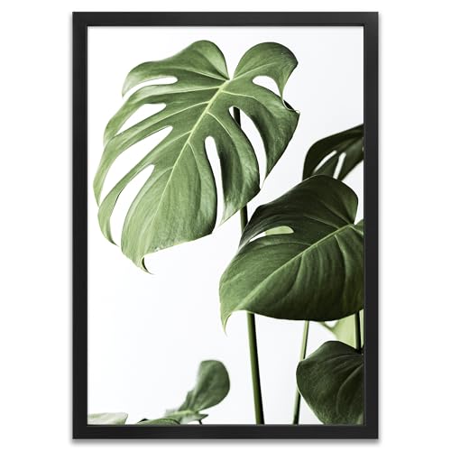 ARTFAVES® Poster - Monstera 1 | Wanddeko Wandbild Fotografie Modern | mit Rahmen Schwarz | 30 x 40 cm von ARTFAVES