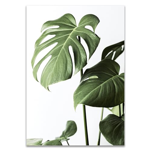 ARTFAVES® Poster - Monstera 1 | Wanddeko Wandbild Fotografie Modern | ohne Rahmen | 21 x 30 cm von ARTFAVES