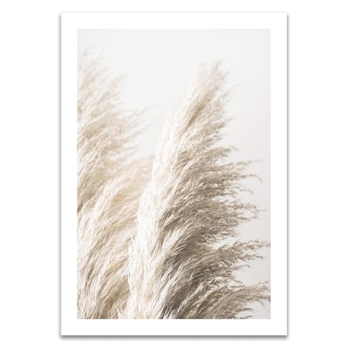 ARTFAVES® Poster - Pampasgras 1 | Wanddeko Wandbild Fotografie Modern | ohne Rahmen | 21 x 30 cm von ARTFAVES