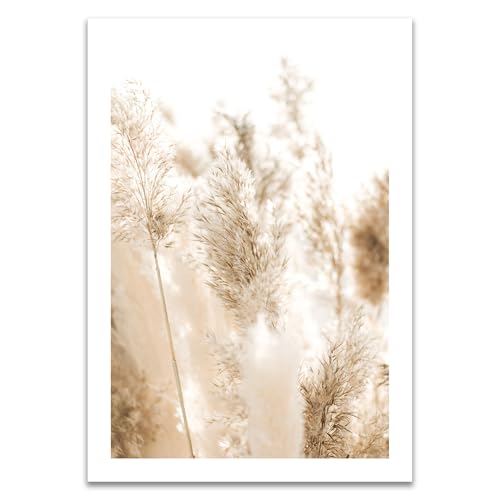 ARTFAVES® Poster - Pampasgras 2 | Wanddeko Wandbild Fotografie Modern | ohne Rahmen | 30 x 40 cm von ARTFAVES