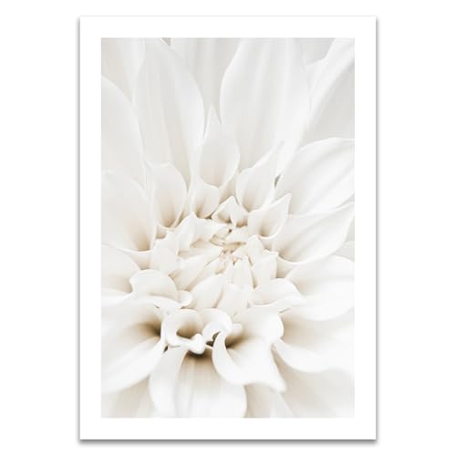 ARTFAVES® Poster - Weiße Blüte | Wanddeko Wandbild Fotografie Modern | ohne Rahmen | 21 x 30 cm von ARTFAVES