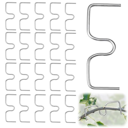 ARTGUTS 20 Stück Aststütze für Obstbäume,Astspreizer Obstbaum,Pflanzenstütze Astspreizer Metall für Gartenzweige Obstzweige,Astklammern zum Spreizen Gartenbäume und Ebnen von Obstbaumzweigen (10cm) ARTGUTS 20 Stück Aststütze für Obstbäume,Astspreizer Obstbaum,Pflanzenstütze Astspreizer Metall für Gartenzweige Obstzweige,Astklammern zum Spreizen Gartenbäume und Ebnen von Obstbaumzweigen (10cm) von ARTGUTS