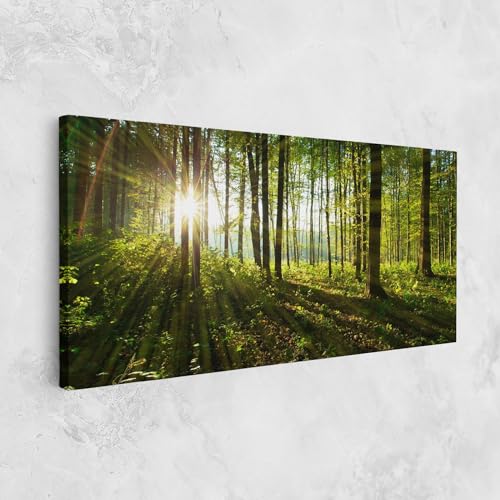 ARTHUB® Leinwandbild 50x100 cm, Green Light Forest | Wohnzimmerdekoration, Hängende Bilder, Wanddekoration, Heimdekoration, Landschaften, Wälder von ARTHUB