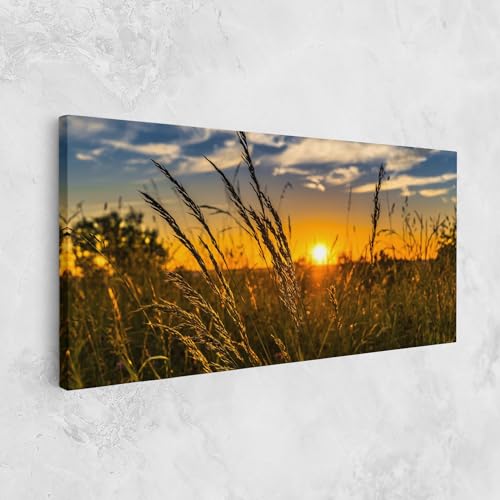 ARTHUB® Leinwandbild 50x100 cm, Wheat Sunset | Wohnzimmerdekoration, Hängende Bilder, Wanddekoration, Heimdekoration, Landschaften, Sommer von ARTHUB