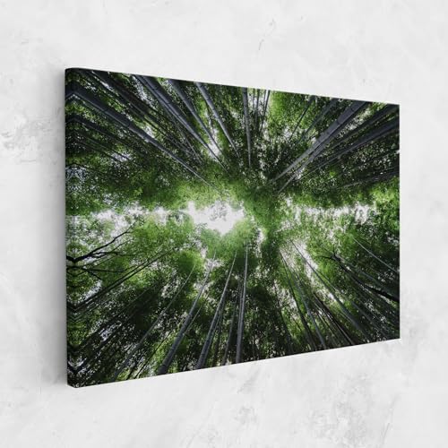 ARTHUB® Leinwandbild 80x120 cm, Green Trees Forest | Wohnzimmerdekoration, Hängende Bilder, Wanddekoration, Heimdekoration, Landschaften, Wälder von ARTHUB