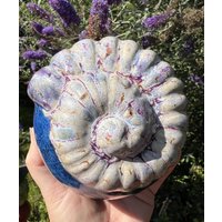 Gartenschmuck, Gartenkugel, Ammonit, Keramikkugel, Getöpfert Gartenschmuck, Gartenkugel, Ammonit, Keramikkugel, Getöpfert von ARTHummeln